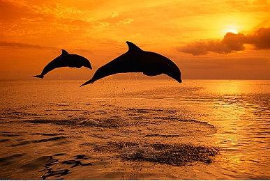 《金庸群侠传》将在CJ2025上公布最新进展 黄药师、周芷若设定图公开