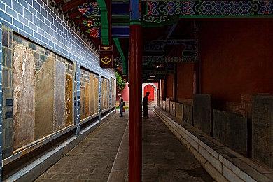 《极限竞速：Motorsport》更新细节公布 大幅优化性能